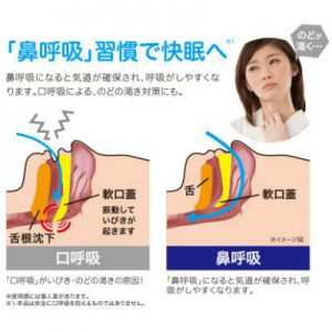 HSH0000006 Dr. Pro防鼻鼾枕帶 2 6 300x300