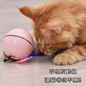 BHB0000011 USB充電款自動變換方向電動逗貓球 5 300x300