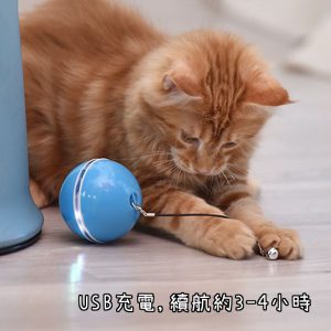 BHB0000011 USB充電款自動變換方向電動逗貓球 6 300x300