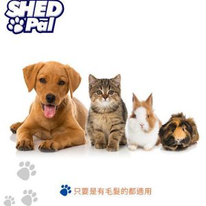 BHB0000014 SHED Pal 寵物電動刷毛吸毛機 8 6 300x300