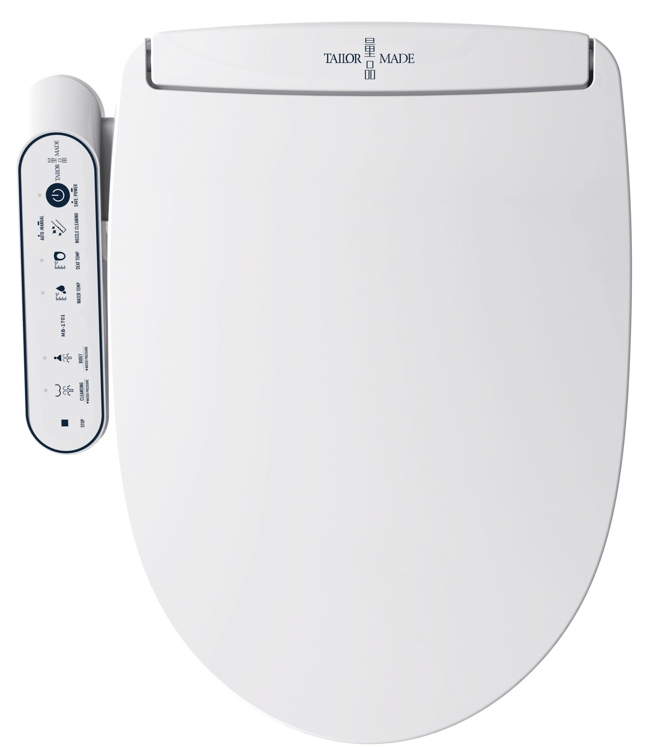 Control Inlay B 01 Scaled