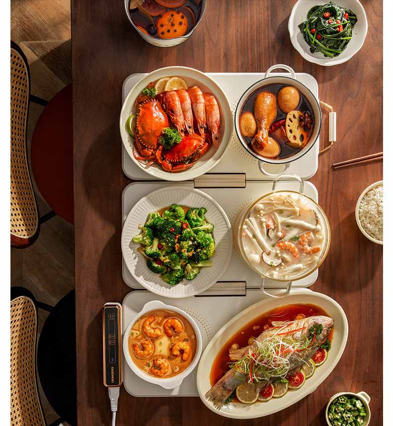 DAEWOO摺疊恒溫暖菜板WB01 详情 08 8