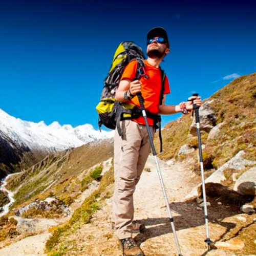意大利遠足行山防滑四節避震直柄T柄超輕鋁合金登山杖拐杖(顏色隨機)