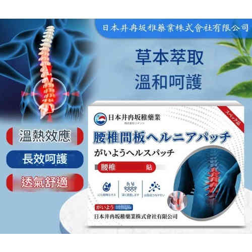 日本井冉坂腰椎間盤草本修護貼（12貼/盒）X2