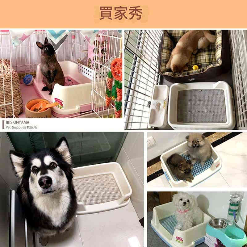 A (2) 【日本愛麗思IRIS】半封閉式狗廁所 - 51×39×15.4cm(長×寬×高)|三色可選(粉/藍/茶) - Image 3