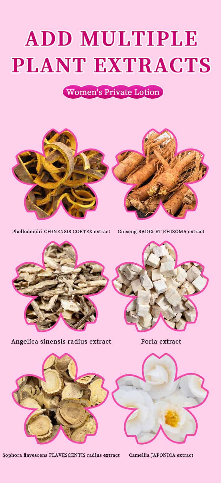 DHOP 女性私密護理精華液 70ml|天然中草藥萃取|溫和滋潤保濕|改善不適感|維持健康平衡 DHOP FEMININEWASH3