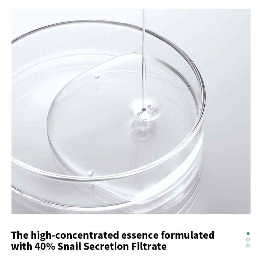 主图 03 27 1024x1024