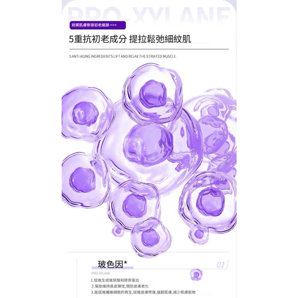 详情 02 2 1024x1024