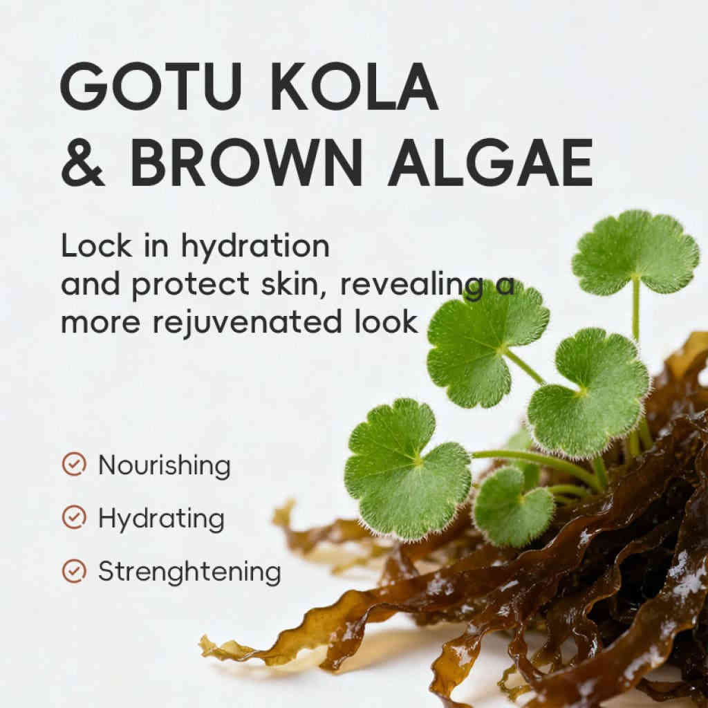 详情 15 16 1024x1024