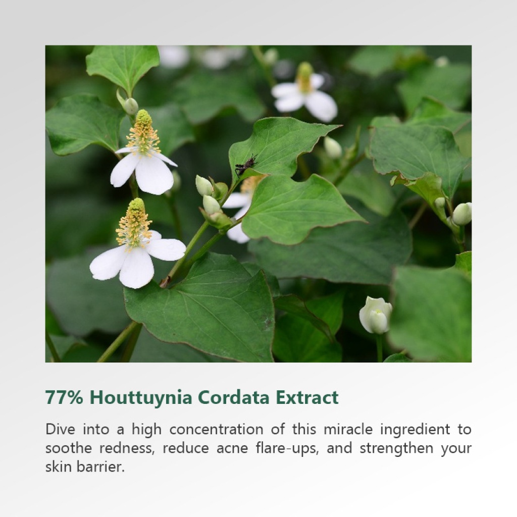 详情 15 6 1024x1024