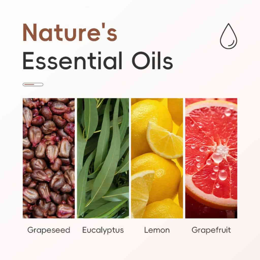 详情 16 25 1024x1024