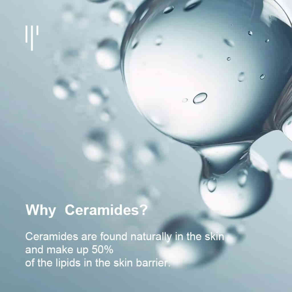 详情 17 17 1024x1024