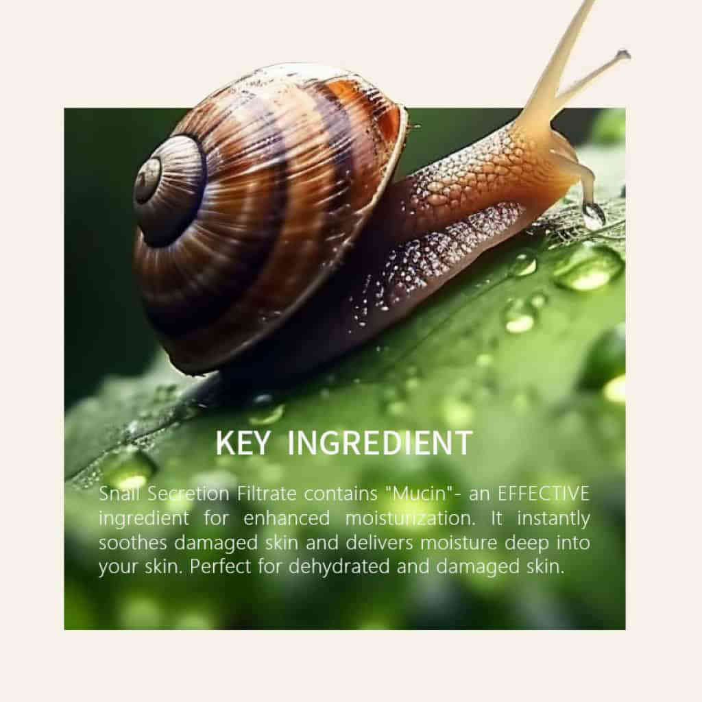 详情 17 25 1024x1024