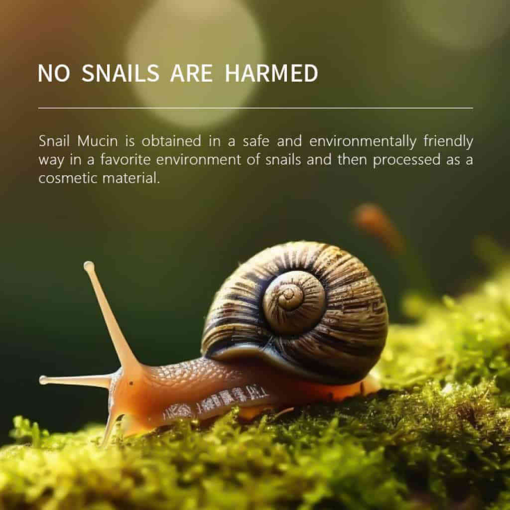 详情 18 18 1024x1024