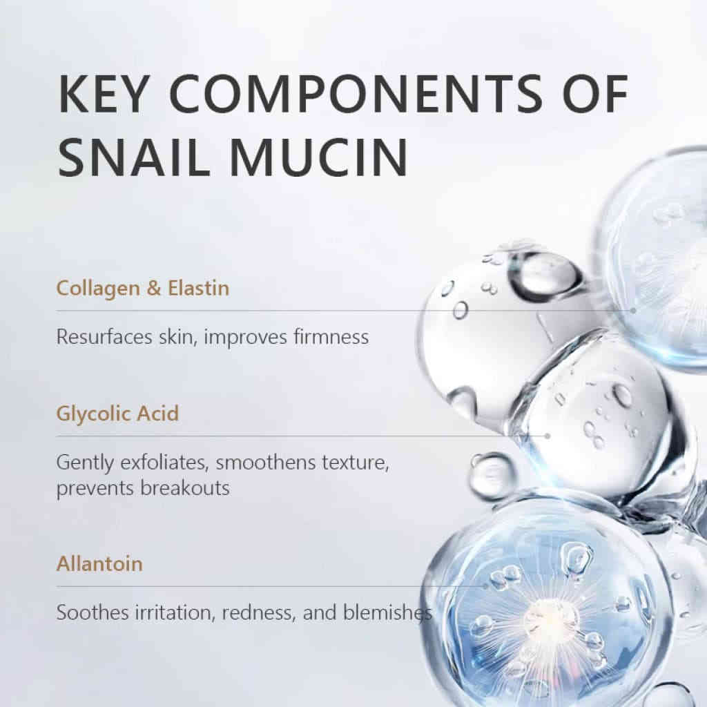 详情 19 20 1024x1024