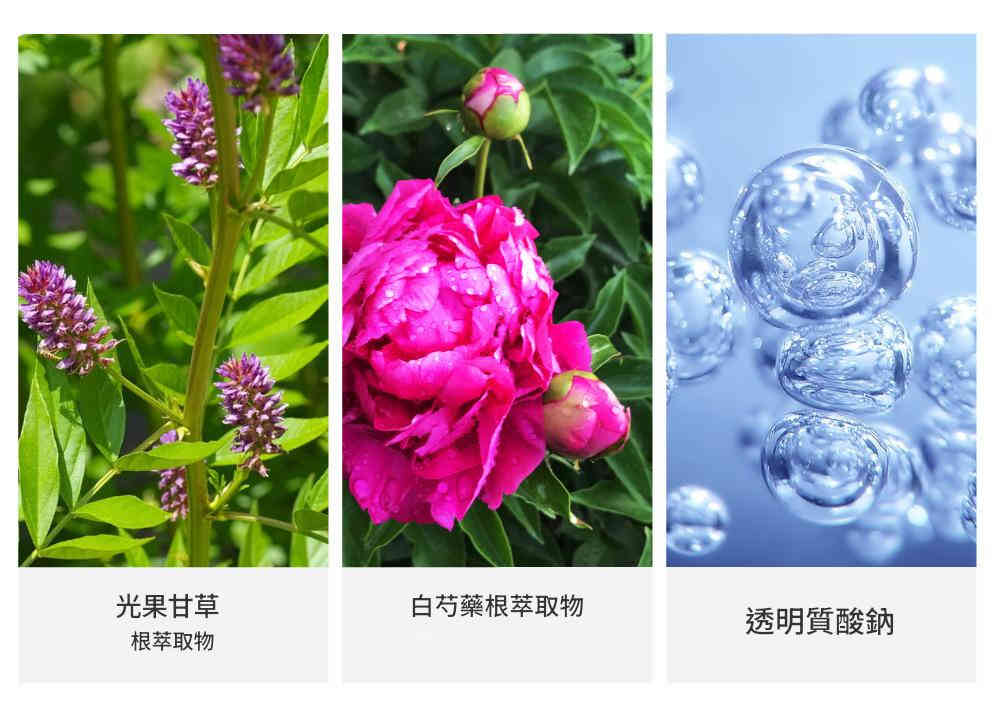 vibrant glamour維他命+玻尿酸抗衰老特效面霜 30g/瓶