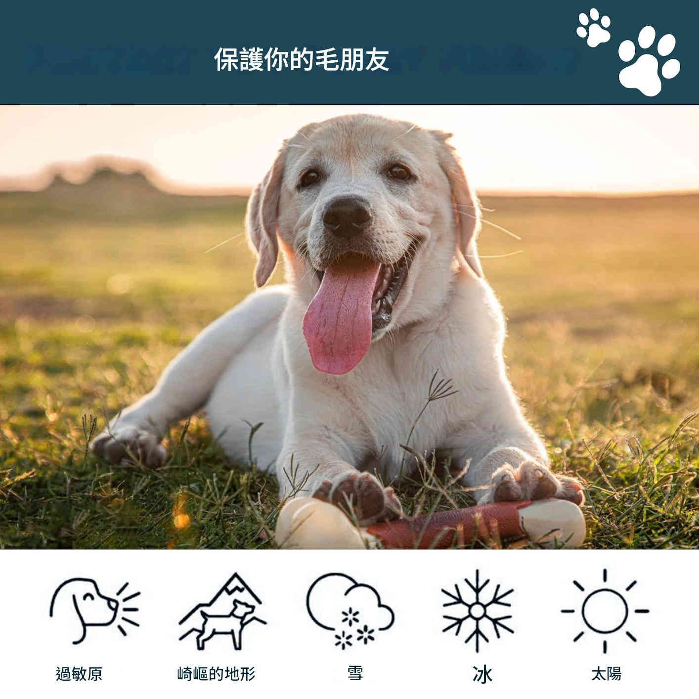 elaimei 椰子油蘆薈寵物狗貓共用的護足霜 60g/盒