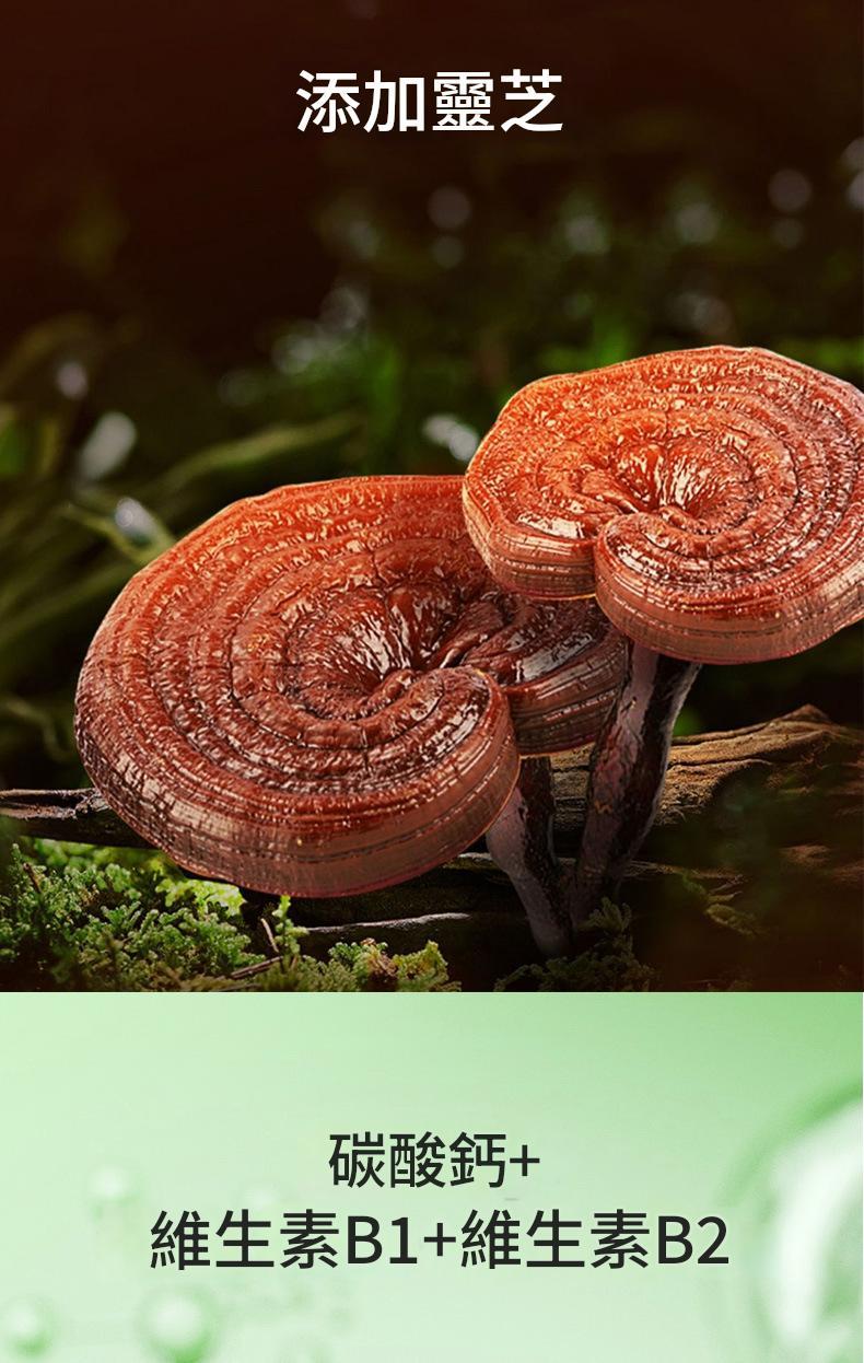 京都仁恩堂葛根靈芝成人中老年補充運動營養食品片( 一樽/0.6gx60片)