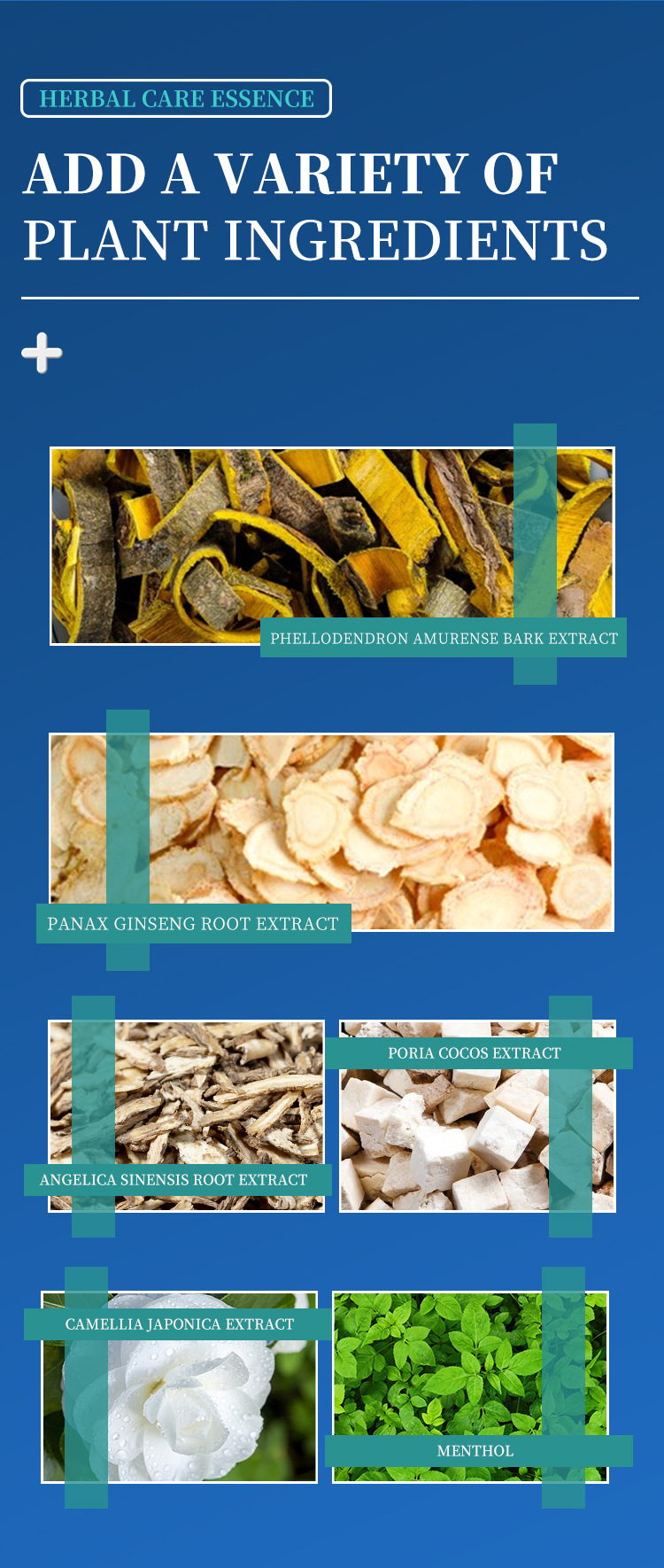 DHOP 草本祖斑祖痣精華 30ml CUN00094 4