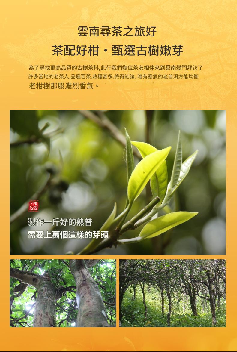 新會小青柑普洱16顆裝配紫砂茶具禮盒 CUN00146 4