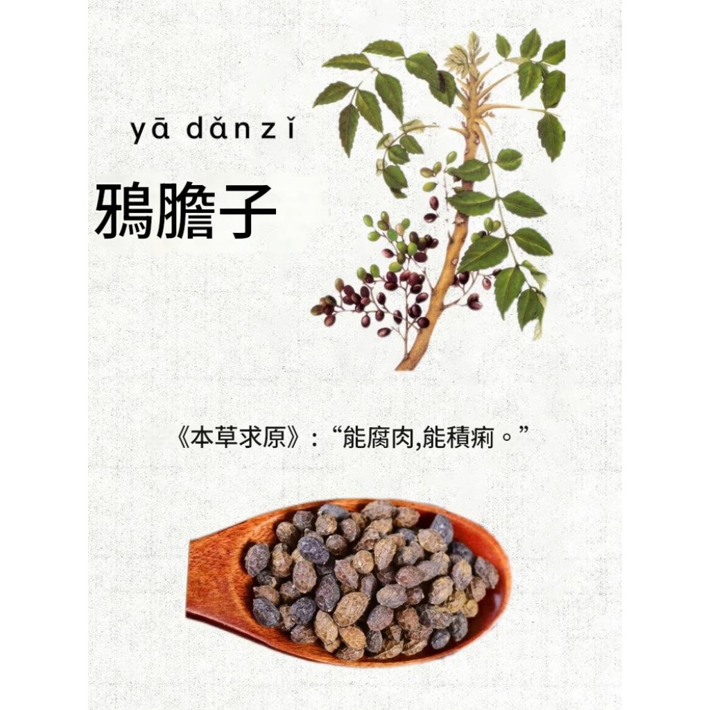 kinbt克疣液扁平尤小肉粒頸肉粒疣立淨克草本清疣護理液2支裝