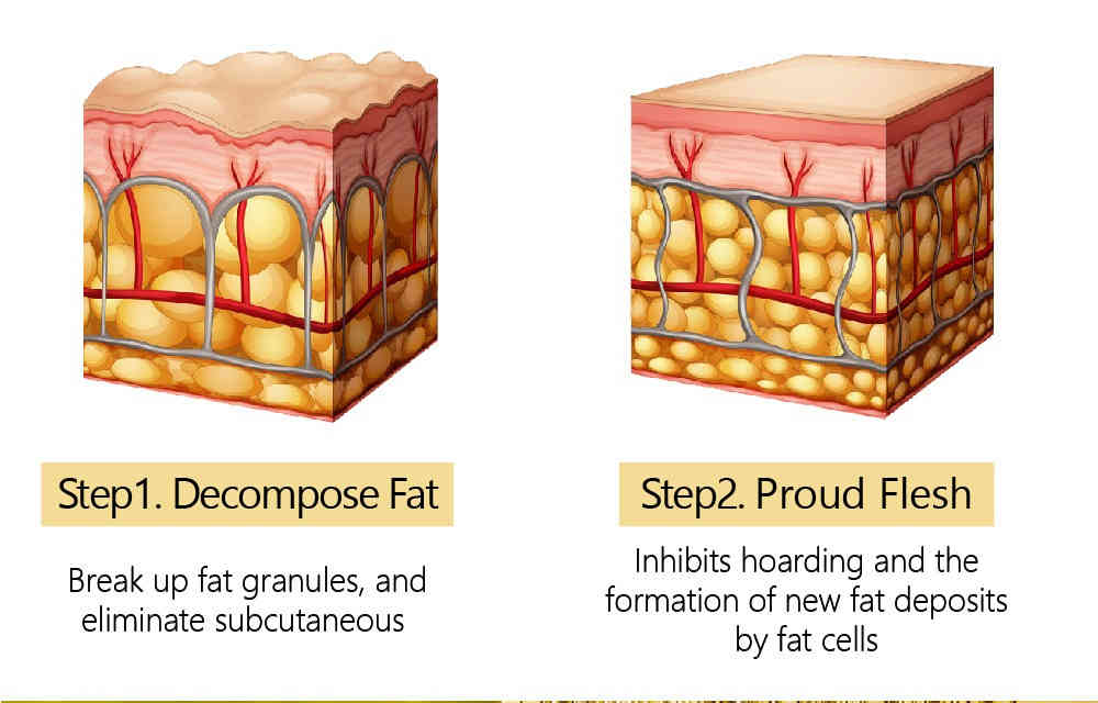 vibrant glamour 燃脂塑形霜 80g/盒