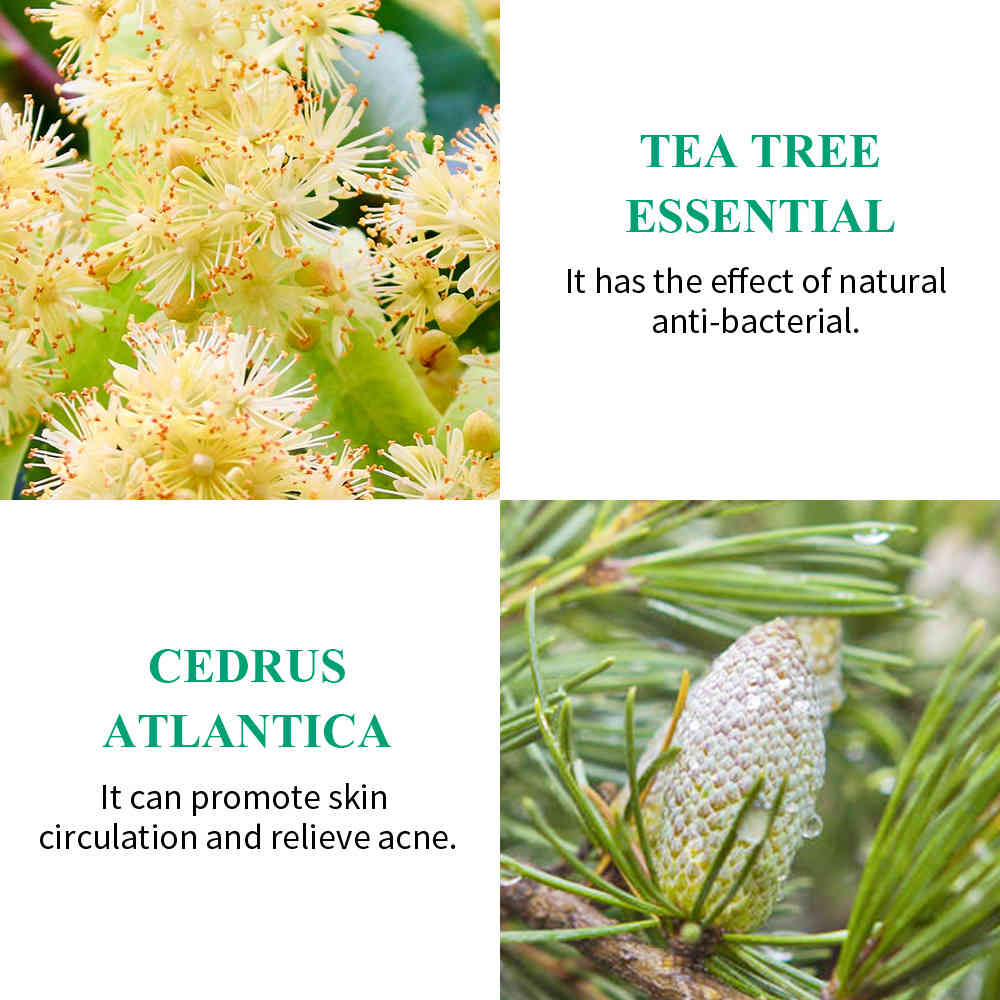 breylee 茶樹抗痘修護精華 30ml/盒