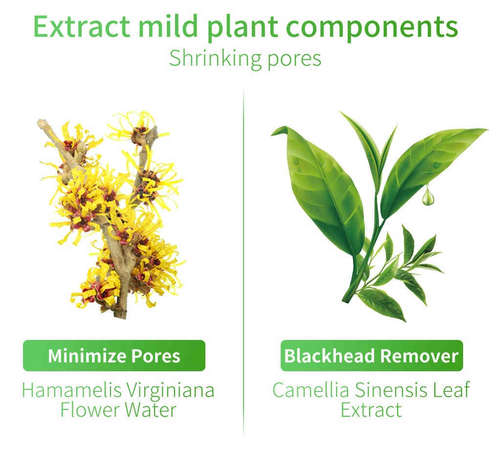 lanbena 毛孔細緻精華 17ml/盒