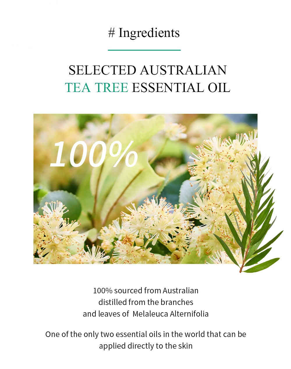 breylee 茶樹抗痘修護精華 30ml/盒