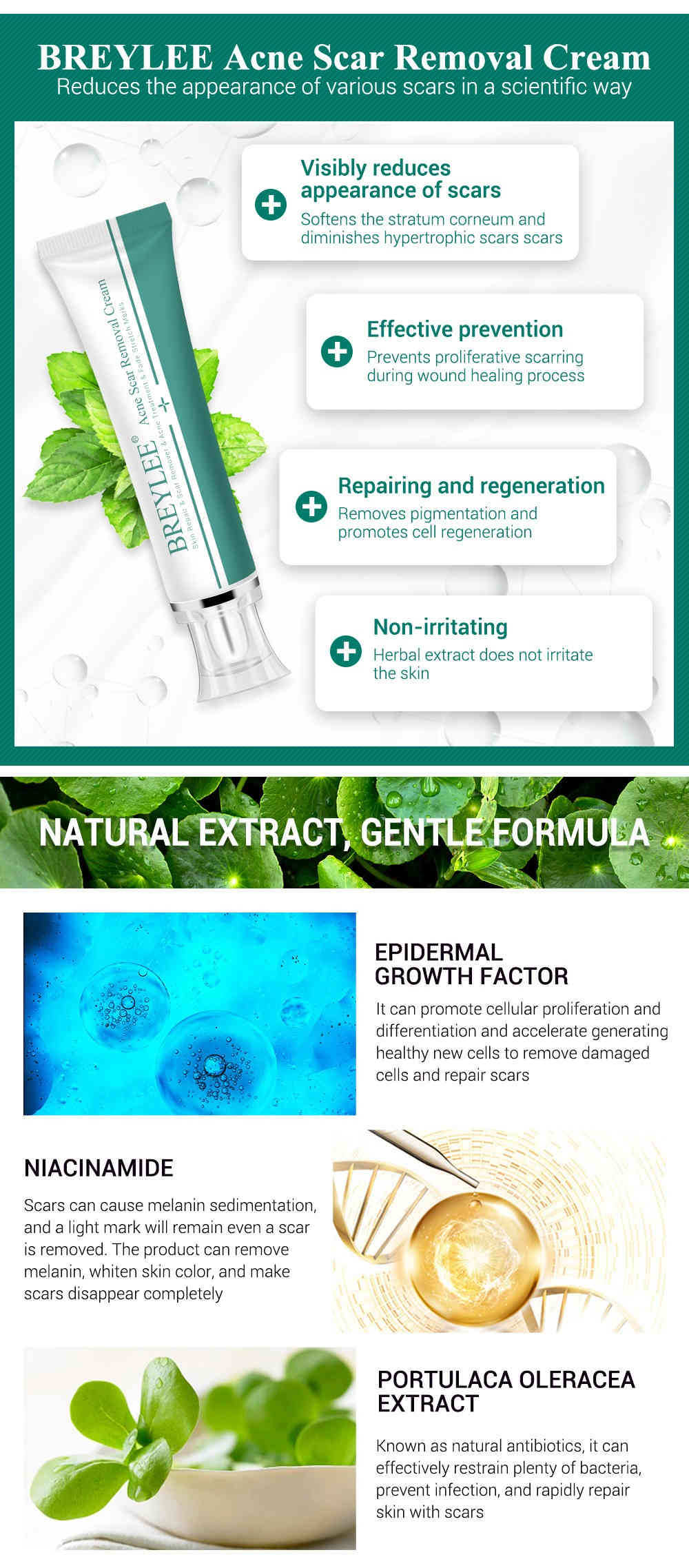 breylee 痘痘疤痕修護霜 30g/盒