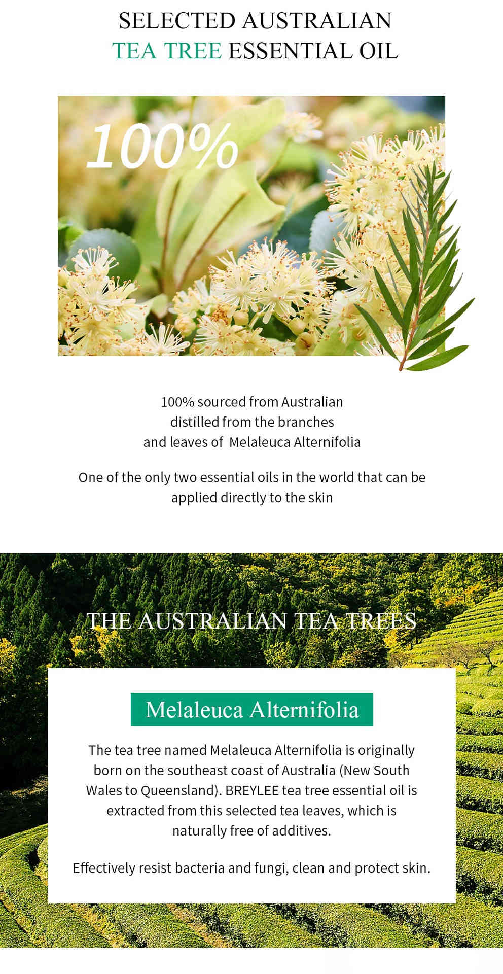 breylee 茶樹精油抗痘修護筆 3ml/盒