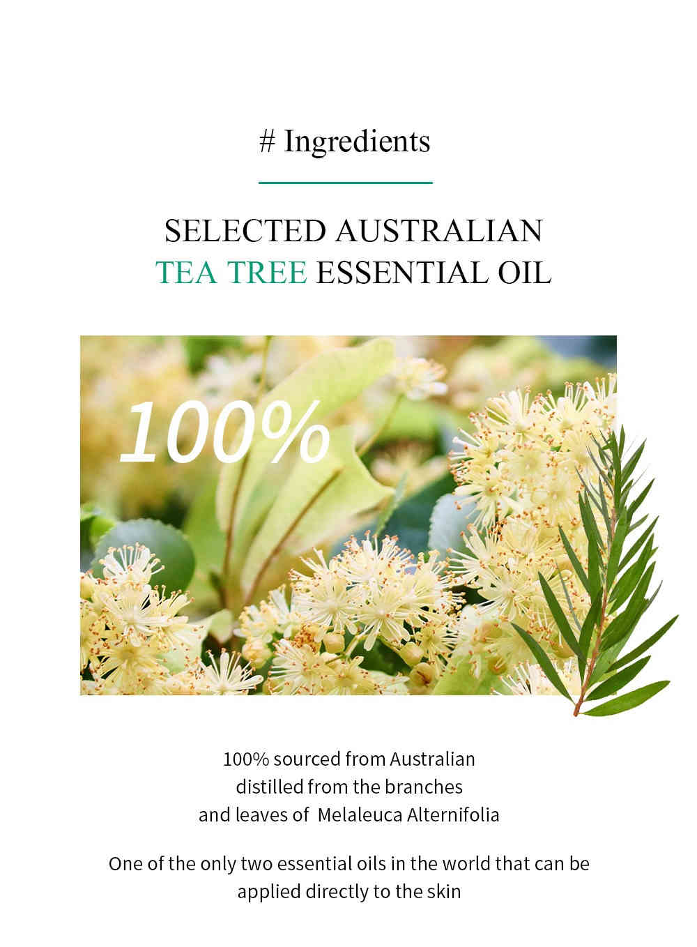 breylee 茶樹抗痘調理露 100ml/盒