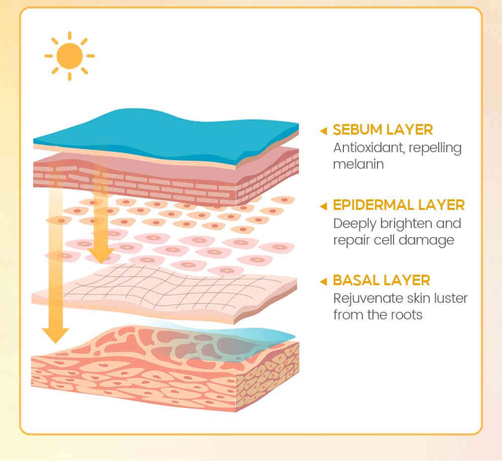 vibrant glamour 維他命c亮白精華防護霜 30g/盒