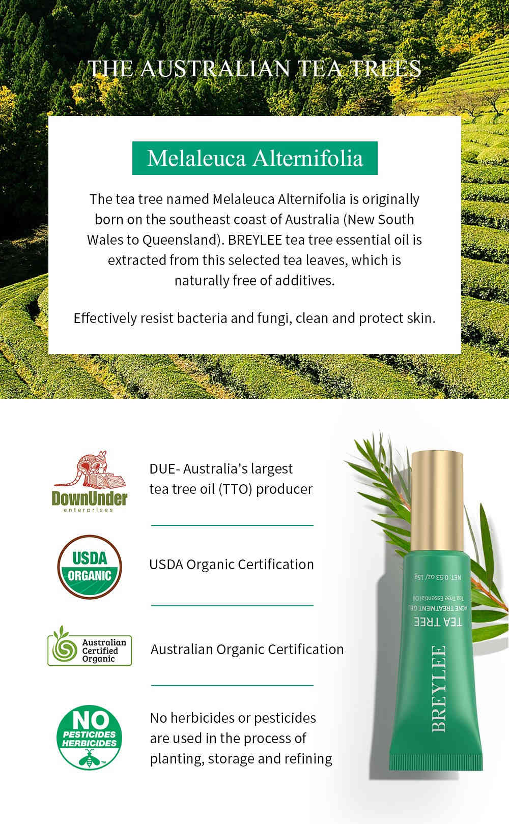 breylee 茶樹精油抗痘修復凝膠 15g/盒