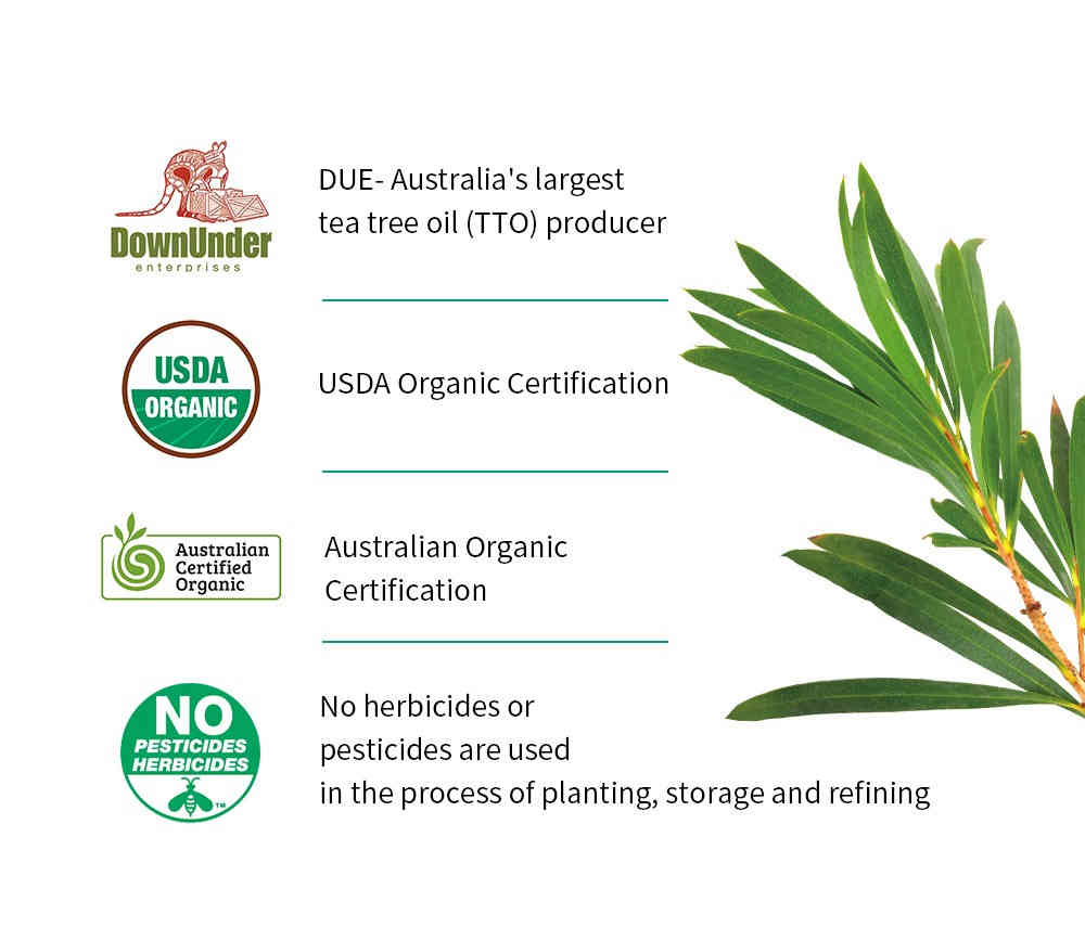 breylee 茶樹抗痘修護精華 30ml/盒