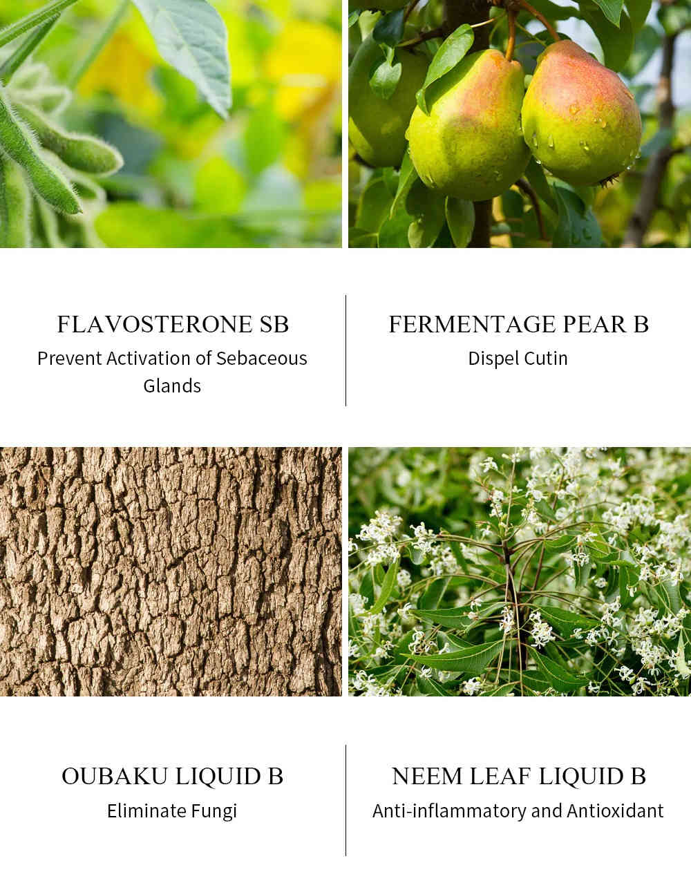 breylee 茶樹抗痘修護精華 30ml/盒