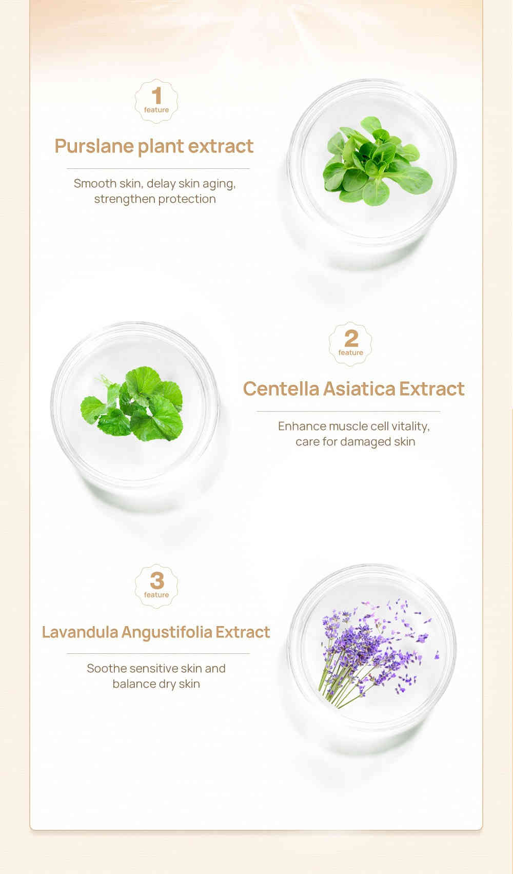 lanbena 草本修護淡疤精華 20ml/盒