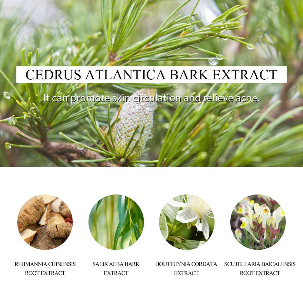 breylee 茶樹抗痘修護精華 30ml/盒