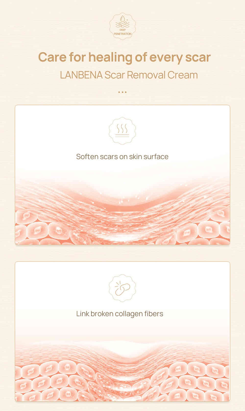 lanbena 草本修護淡疤精華 20ml/盒