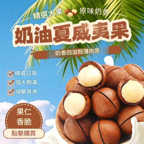 優質食品 精選新年年貨大顆粒夏威夷果