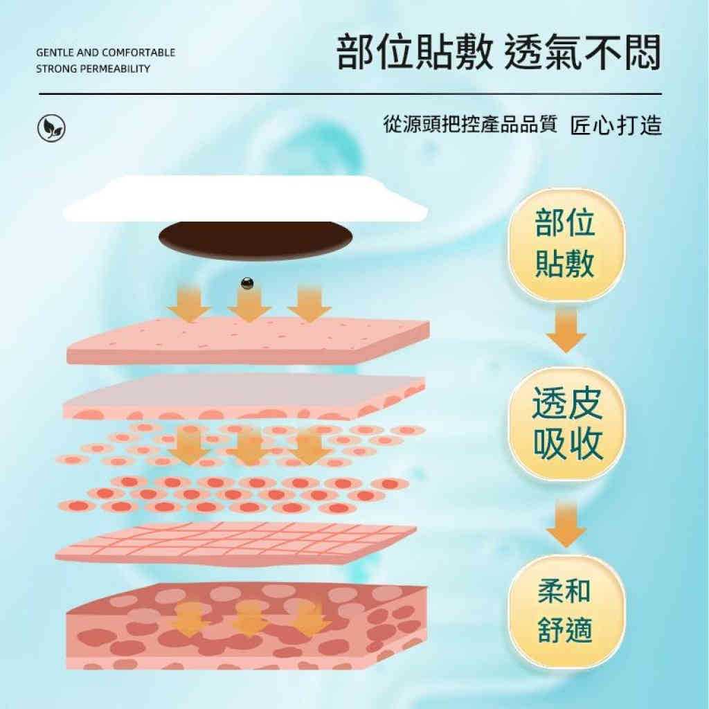 日本 老人腹股溝疝氣專用艾灸貼 12貼/盒 x2