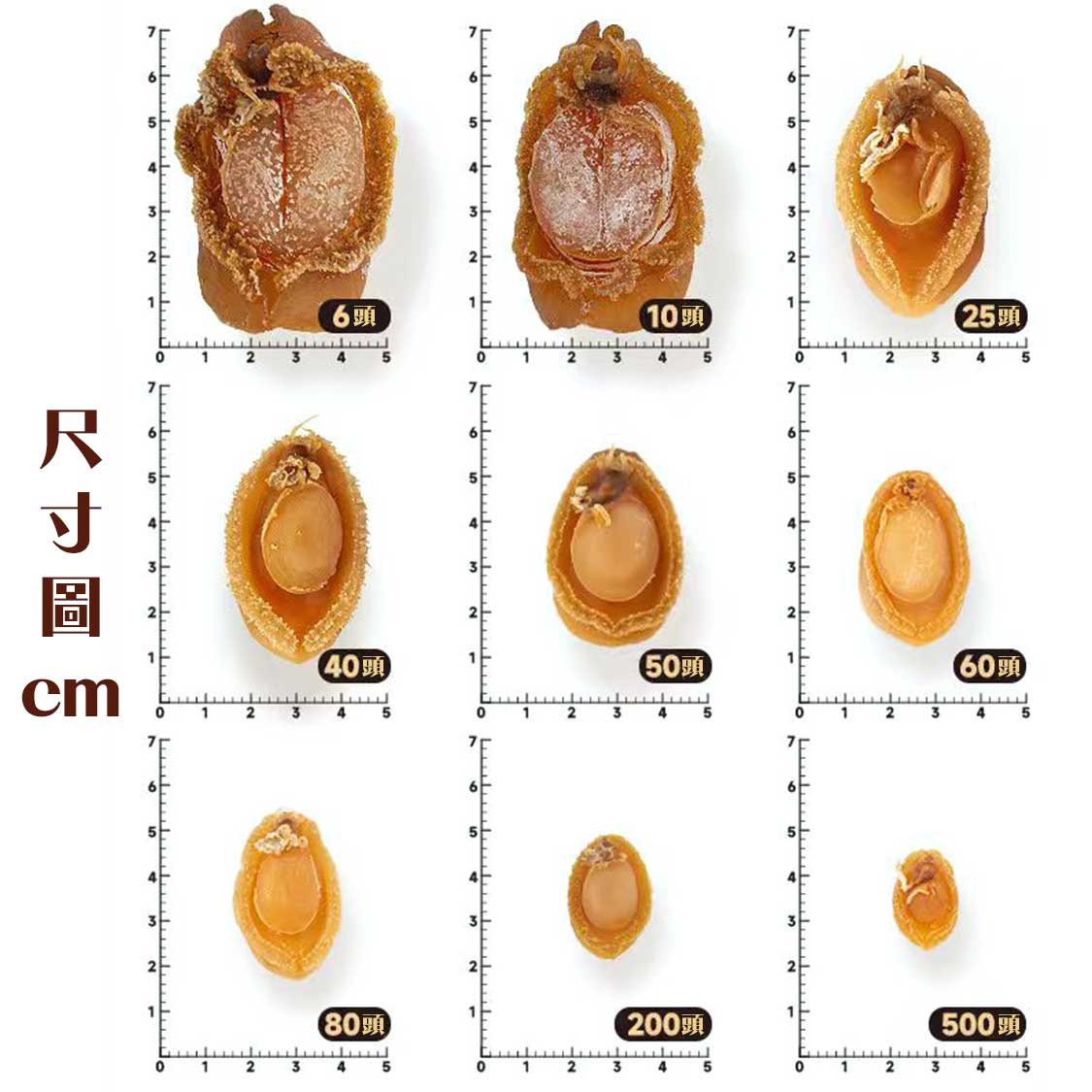 大連黃金鮑魚乾貨a級海味珍品 大連黃金鮑魚乾貨a級海味珍品