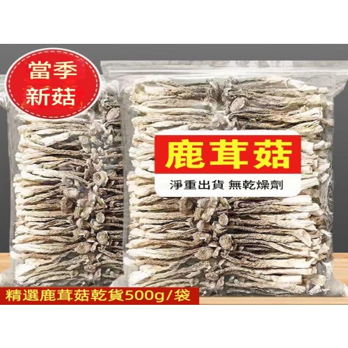 【新貨】農家鹿茸菇乾貨500g
