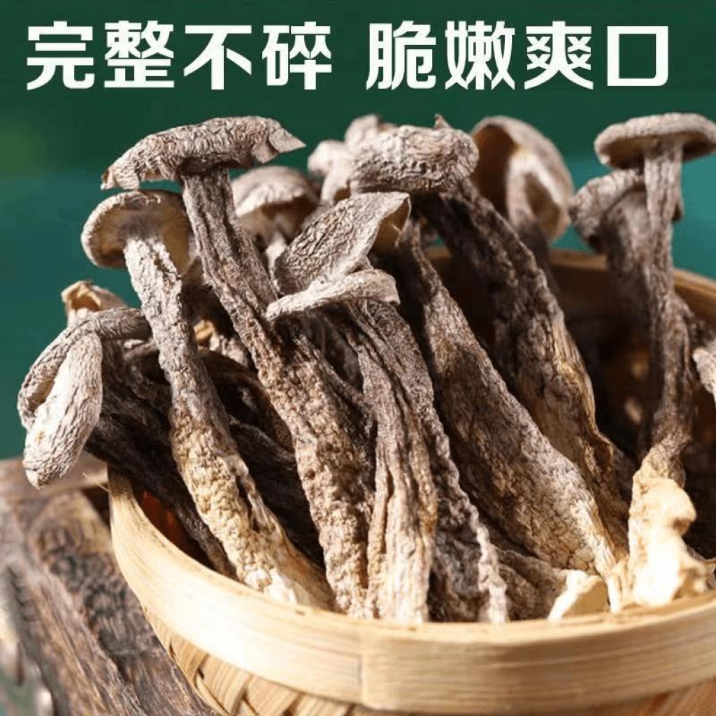 【新貨】農家鹿茸菇乾貨500g