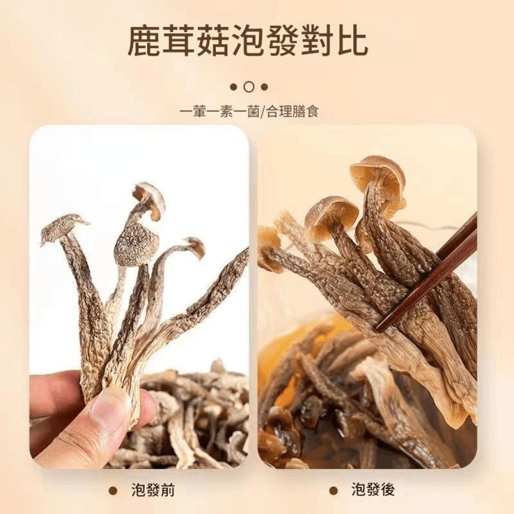 【新貨】農家鹿茸菇乾貨500g