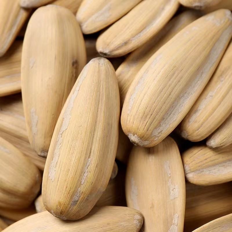 年貨精選五香葵花籽瓜子