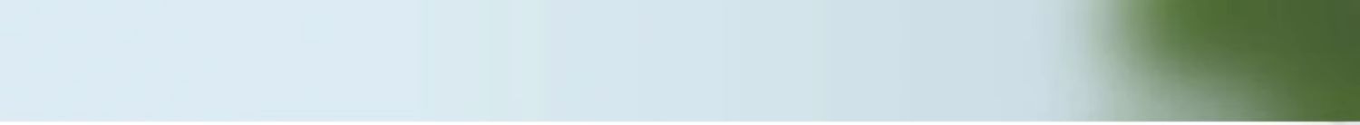 古方傳承酸棗仁茯苓安神茶