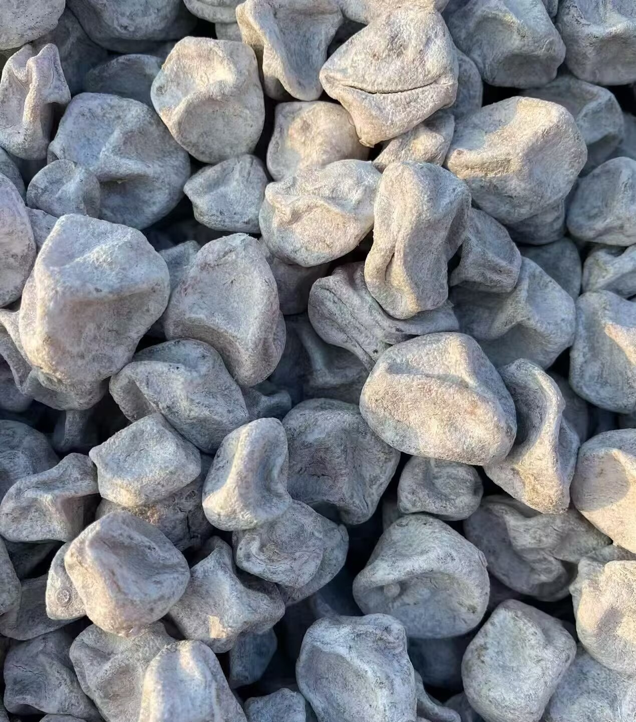 真空包裝甘草九製檸檬