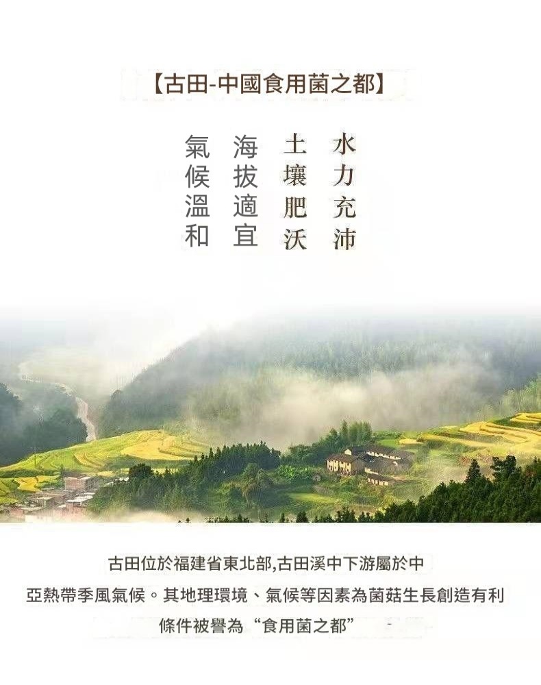 【新貨】古田肉厚無根香菇乾貨 煲湯虫草專用