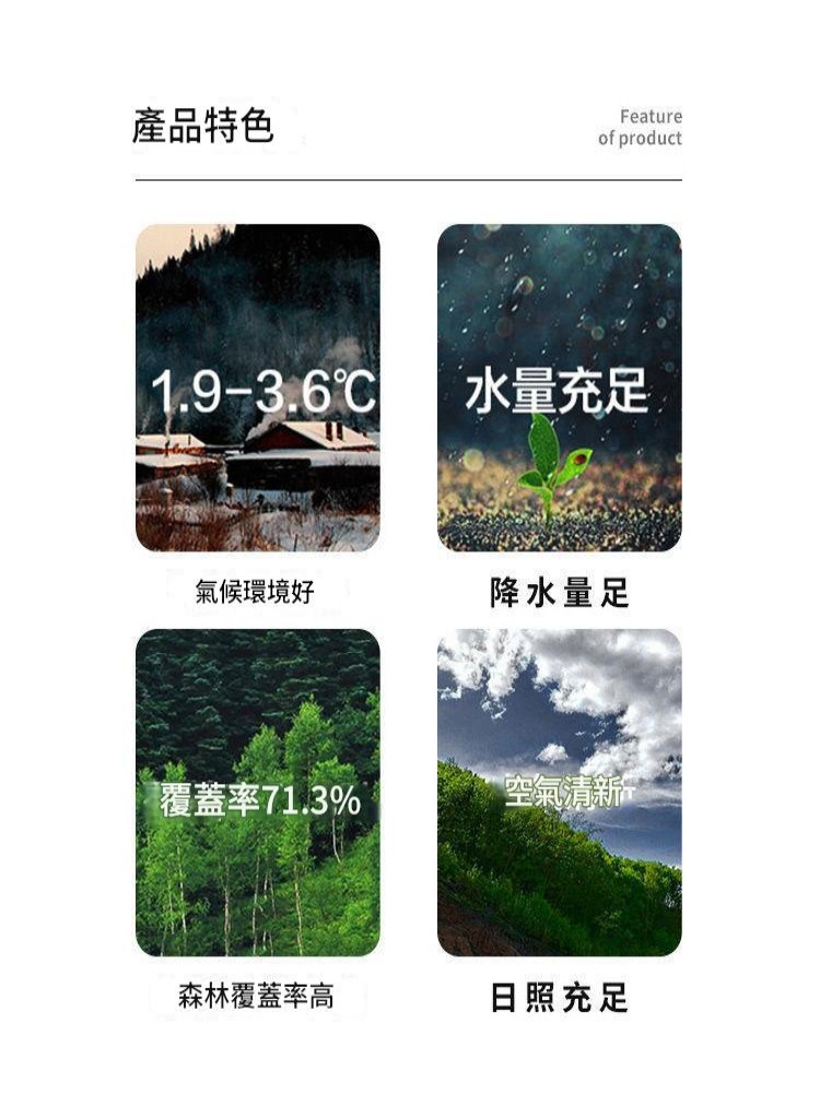 【東北野生】長白山椴木小碗耳 肉厚無根黑木耳乾貨 500g